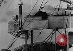 Standbild Schlacht der Westerplatte Polen, 1939, aus Sekunde 50 historischem Filmmaterial Videoclip 65675072858
