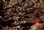 Image of excavation work Colorado United States USA, 1961, second 12 stock footage video 65675072871