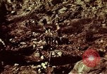 Image of excavation work Colorado United States USA, 1961, second 14 stock footage video 65675072871