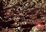 Image of excavation work Colorado United States USA, 1961, second 16 stock footage video 65675072871