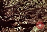 Image of excavation work Colorado United States USA, 1961, second 19 stock footage video 65675072871