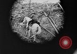 Standbild Rocky Mountains Rocky Mountains United States USA, 1922, aus Sekunde 11 historischem Filmmaterial Videoclip 65675072885