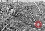 Standbild Rocky Mountains Rocky Mountains United States USA, 1922, aus Sekunde 13 historischem Filmmaterial Videoclip 65675072885