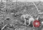 Standbild Rocky Mountains Rocky Mountains United States USA, 1922, aus Sekunde 20 historischem Filmmaterial Videoclip 65675072885