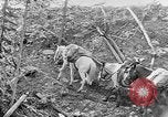 Standbild Rocky Mountains Rocky Mountains United States USA, 1922, aus Sekunde 21 historischem Filmmaterial Videoclip 65675072885
