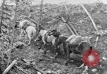 Standbild Rocky Mountains Rocky Mountains United States USA, 1922, aus Sekunde 23 historischem Filmmaterial Videoclip 65675072885