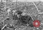 Standbild Rocky Mountains Rocky Mountains United States USA, 1922, aus Sekunde 24 historischem Filmmaterial Videoclip 65675072885