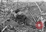 Standbild Rocky Mountains Rocky Mountains United States USA, 1922, aus Sekunde 25 historischem Filmmaterial Videoclip 65675072885