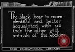 Immagine di La fauna selvatica Colorado United States USA, 1922, secondo 7 filmato di repertorio 65675072889