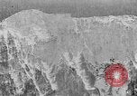 Immagine di La fauna selvatica Colorado United States USA, 1922, secondo 30 filmato di repertorio 65675072889