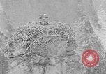 Immagine di La fauna selvatica Colorado United States USA, 1922, secondo 32 filmato di repertorio 65675072889