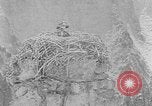 Immagine di La fauna selvatica Colorado United States USA, 1922, secondo 35 filmato di repertorio 65675072889