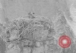Immagine di La fauna selvatica Colorado United States USA, 1922, secondo 36 filmato di repertorio 65675072889