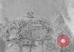 Immagine di La fauna selvatica Colorado United States USA, 1922, secondo 37 filmato di repertorio 65675072889