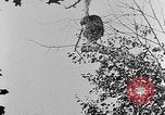 Immagine di La fauna selvatica Colorado United States USA, 1922, secondo 61 filmato di repertorio 65675072889