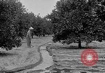 Standbild Gold panning Leadville Colorado USA, 1922, aus Sekunde 55 historischem Filmmaterial Videoclip 65675072890