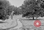 Standbild Gold panning Leadville Colorado USA, 1922, aus Sekunde 56 historischem Filmmaterial Videoclip 65675072890