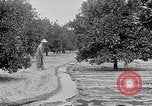 Standbild Gold panning Leadville Colorado USA, 1922, aus Sekunde 59 historischem Filmmaterial Videoclip 65675072890