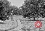 Standbild Gold panning Leadville Colorado USA, 1922, aus Sekunde 61 historischem Filmmaterial Videoclip 65675072890