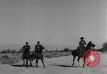 Image of Presidential election United States USA, 1944, second 22 stock footage video 65675072899