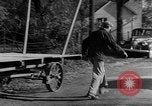 Image of Presidential election United States USA, 1944, second 38 stock footage video 65675072899