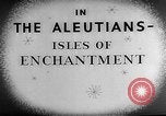 Image of Private Snafu Aleutian Islands Alaska USA, 1945, second 9 stock footage video 65675072901