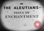 Image of Private Snafu Aleutian Islands Alaska USA, 1945, second 13 stock footage video 65675072901