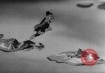 Image of Private Snafu Aleutian Islands Alaska USA, 1945, second 29 stock footage video 65675072901