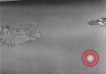 Image of Private Snafu Aleutian Islands Alaska USA, 1945, second 38 stock footage video 65675072901