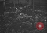 Image atrocité victimes Allemagne, 1945, de la seconde 3 séquences d'archives historiques vidéo 65675072906