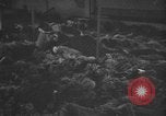 Image atrocité victimes Allemagne, 1945, de la seconde 4 séquences d'archives historiques vidéo 65675072906