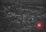 Image atrocité victimes Allemagne, 1945, de la seconde 5 séquences d'archives historiques vidéo 65675072906