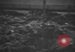 Image atrocité victimes Allemagne, 1945, de la seconde 8 séquences d'archives historiques vidéo 65675072906