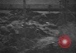 Image atrocité victimes Allemagne, 1945, de la seconde 9 séquences d'archives historiques vidéo 65675072906