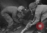 Image atrocité victimes Allemagne, 1945, de la seconde 16 séquences d'archives historiques vidéo 65675072906