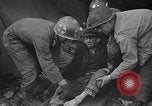 Image atrocité victimes Allemagne, 1945, de la seconde 17 séquences d'archives historiques vidéo 65675072906