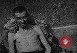 Image atrocité victimes Allemagne, 1945, de la seconde 28 séquences d'archives historiques vidéo 65675072906
