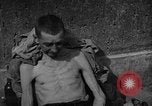Image atrocité victimes Allemagne, 1945, de la seconde 31 séquences d'archives historiques vidéo 65675072906