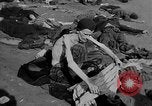 Image atrocité victimes Allemagne, 1945, de la seconde 33 séquences d'archives historiques vidéo 65675072906