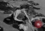 Image atrocité victimes Allemagne, 1945, de la seconde 36 séquences d'archives historiques vidéo 65675072906