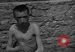 Image atrocité victimes Allemagne, 1945, de la seconde 37 séquences d'archives historiques vidéo 65675072906