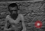 Image atrocité victimes Allemagne, 1945, de la seconde 38 séquences d'archives historiques vidéo 65675072906