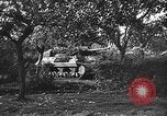 Image atrocité victimes Allemagne, 1945, de la seconde 44 séquences d'archives historiques vidéo 65675072906