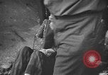Image atrocité victimes Allemagne, 1945, de la seconde 52 séquences d'archives historiques vidéo 65675072906