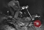 Immagine di Le atrocità naziste nella seconda guerra mondiale Germania, 1945, secondo 38 filmato di repertorio 65675072907