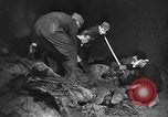 Immagine di Le atrocità naziste nella seconda guerra mondiale Germania, 1945, secondo 39 filmato di repertorio 65675072907