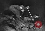 Immagine di Le atrocità naziste nella seconda guerra mondiale Germania, 1945, secondo 40 filmato di repertorio 65675072907