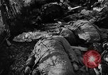 Immagine di Le atrocità naziste nella seconda guerra mondiale Germania, 1945, secondo 58 filmato di repertorio 65675072907