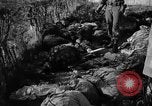 Immagine di Le atrocità naziste nella seconda guerra mondiale Germania, 1945, secondo 59 filmato di repertorio 65675072907