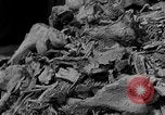 Standbild Konzentrationslager Buchenwald Deutschland, 1945, aus Sekunde 20 historischem Filmmaterial Videoclip 65675072908